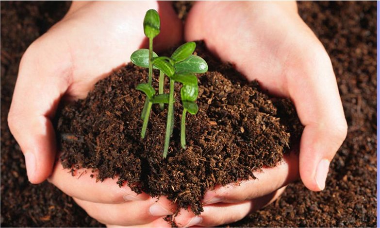 AG8亚洲国际游戏集团_首页官网